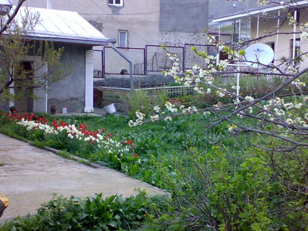 Guesthouse in Kazbegi